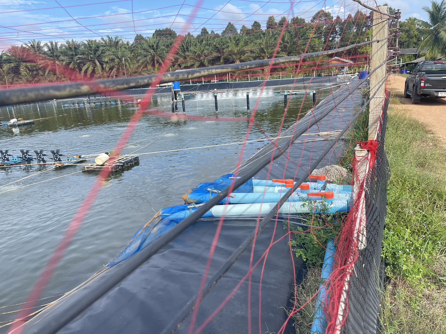 ฟาร์มกุ้ง ทุ่งตะโก - จังหวัดชุมพร